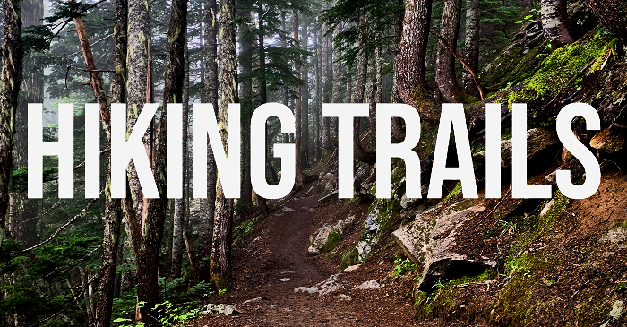 Hiking the Pacific NW Trails